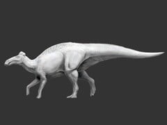 埃德蒙顿龙(Edmontosaurus annectens)是已知的第一种拥有蹄状足的恐龙。 (图片来源:Science.org