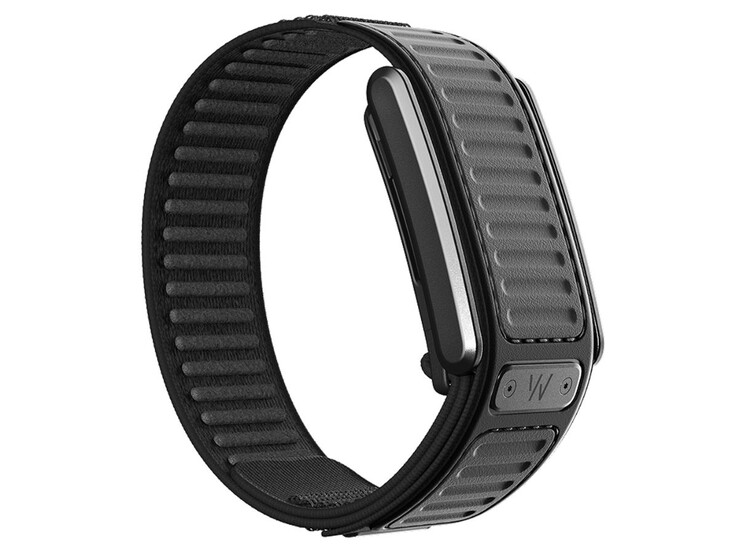 Whoop Navigator 乐队