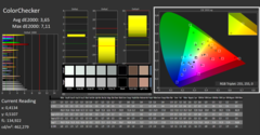CalMAN - ColorChecker（sRGB参考色彩空间）。