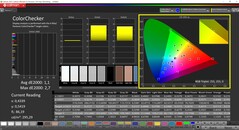 CalMAN ColorChecker（DCI-P3目标色彩空间）。