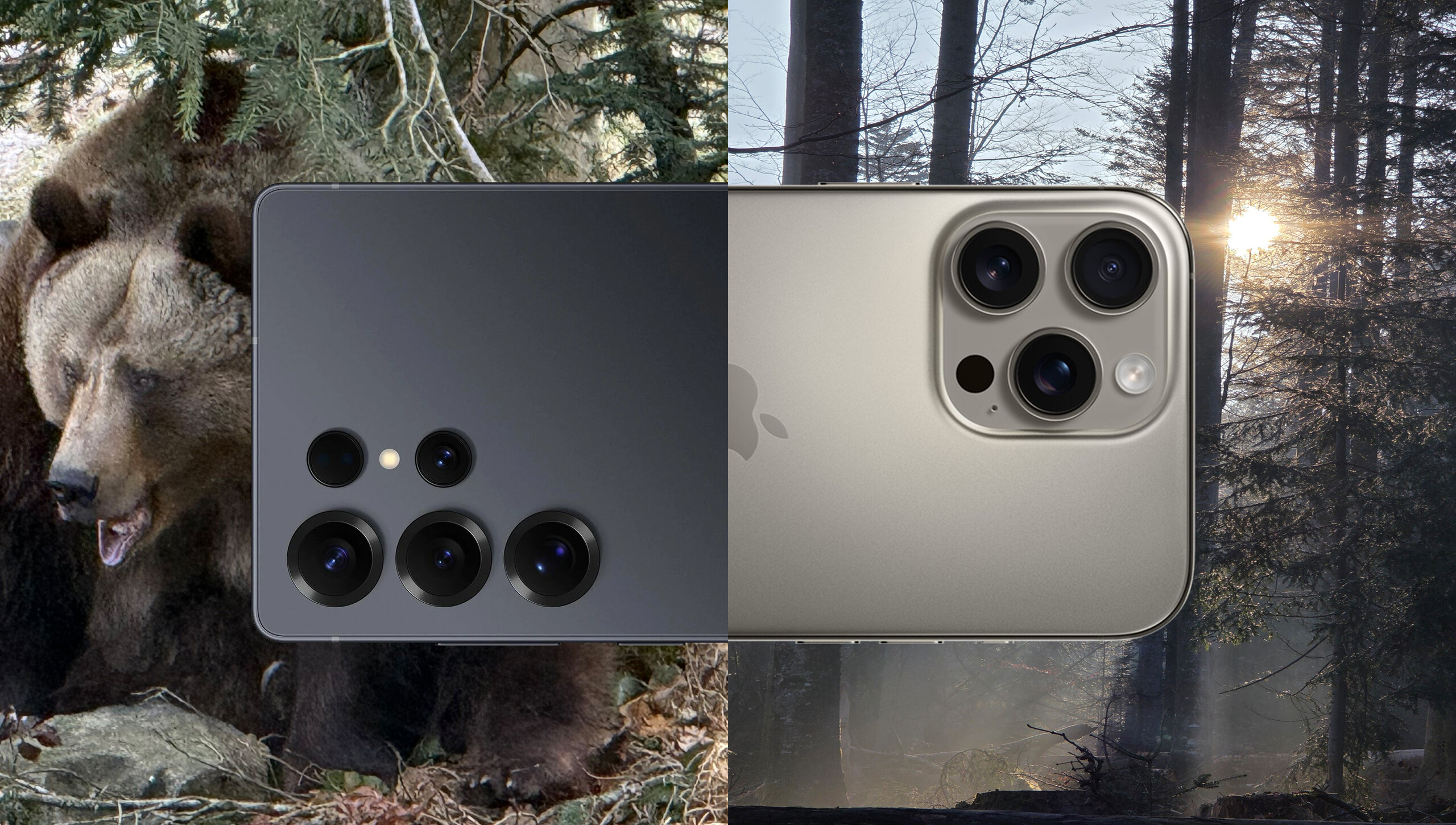 Photo comparison of smartphones: In the Bavarian Forest National Park with two of the best camera phones of 2025