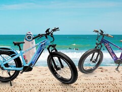 Himiway Zebra胖轮胎电动自行车的新限量版加州和佛罗里达州版本已经曝光。(图片来源：Himiway)