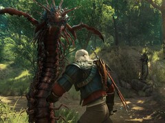 图片来自游戏Witcher 3: Wild Hunt - Blood and Wine。(图片来源：Steam）