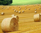 越多越好并不总是正确的，即使在农业领域也是如此。(图片：pixabay/ybernardi）