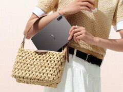 Pad Mini 在 Giztop 上的起价为 699 美元。图：宣传图片，展示了平板电脑的背面设计和小巧外形。