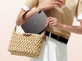 Pad Mini 在 Giztop 上的起价为 699 美元。图：宣传图片，展示了平板电脑的背面设计和小巧外形。