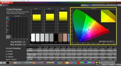 CalMAN ColorChecker（配置文件：原生，目标色彩空间：P3）