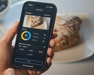 Zepp 应用程序的食物日志功能已登陆欧洲。(图片来源：Amazfit）