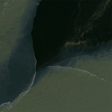 早期泄露的 Pixel 11 Pro 折叠式壁纸显示了其松木、潮汐漩涡外观