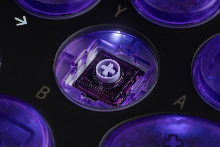 (图片来源:8BitDo)