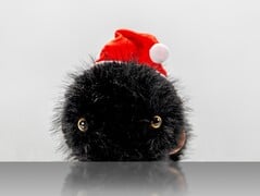 Plüsch(图片来源:卡尔斯鲁厄采矿和冶金研究所)