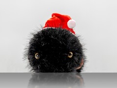 Plüsch（图片来源：卡尔斯鲁厄采矿和冶金研究所）