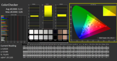 CalMAN: ColorChecker (已校准)