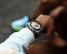 Garmin Connect IQ Store 目前的应用更新会延迟数天。