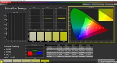 CalMan ColorChecker - 饱和度 - 校准的