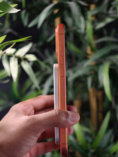 (图片来源:Ramal Media)