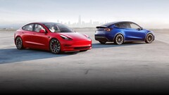 偷车贼对 Model 3 或 Model Y 兴趣不大（图片：特斯拉）