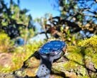 评测中：Samsung Galaxy Watch Ultra2