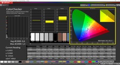 CalMAN ColorChecker（目标色彩空间P3）。