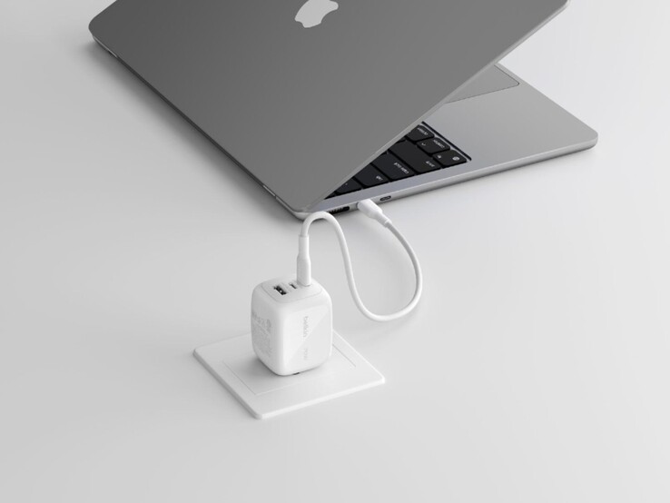 (图片来源：贝尔金）