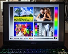 树荫下的户外观景