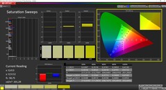 CalMan ColorChecker - 饱和度