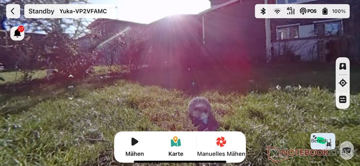 Mammotion 应用程序中的实时视频