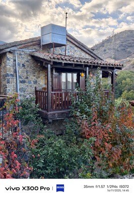 vivo X300 Pro：照片样本