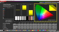 CalMAN ColorChecker（配置文件：原生，目标色彩空间：P3）