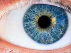 研究人员利用激光刺激 M 锥体，成功地使以前未知的颜色 