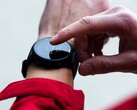 Garmin 测试版 22.22 现已在包括 Forerunner 955 在内的智能手表上推出。(图片来源：Garmin）