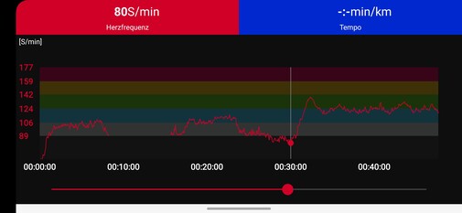 以 Polar H10 胸带为参考