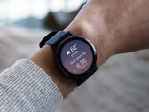 Garmin 尚未说明 v11 更新何时达到稳定状态。(图片来源：Garmin）