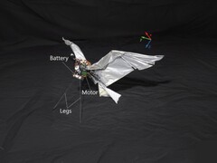 RoboFalcon2.0 的图片（图片来源：研究人员；已编辑）