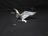 RoboFalcon2.0 的图片（图片来源：研究人员；已编辑）