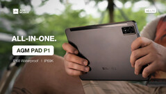 Pad P1。(来源:AGM)