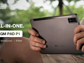 Pad P1。(来源：AGM）