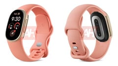 谷歌 Fitbit Edge