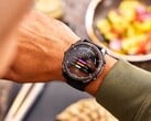 Garmin Connect+ 正在扩展到营养记录功能。(图片来源：Garmin）