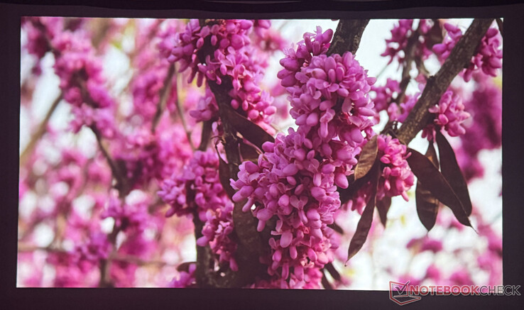 暗室中星云 P1 的图像质量(图片来源:Pexels)