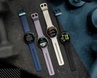 Garmin Vivoactive 5 现在可以接收 8.27 公共测试版更新（图片来源：Garmin）