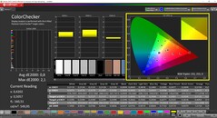 CalMAN ColorChecker（配置文件：sRGB，目标色彩空间：sRGB）