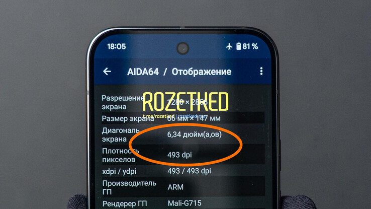 Pixel 9 Pro。(图片来源：Rozetked）