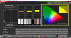 Calman ColorChecker（配置文件：sRGB，目标色彩空间：sRGB）