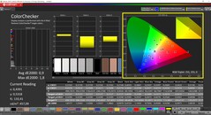 CalMAN ColorChecker（配置文件：P3，目标色彩空间：P3）