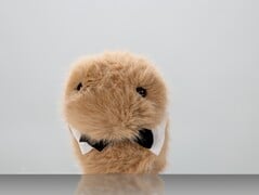 迪特(图片来源:卡尔斯鲁厄采矿与冶金研究所)