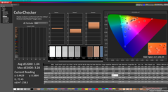 校准后的 ColorChecker