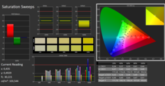 CalMan ColorChecker: 饱和度