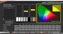 CalMAN ColorChecker（配置文件：sRGB）