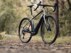 Marin Bikes Lombard E 采用博世 SX Spring 发动机（图片来源：Marin Bikes）